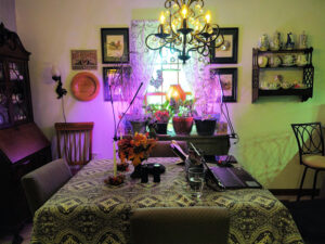 Dining Room table with plants